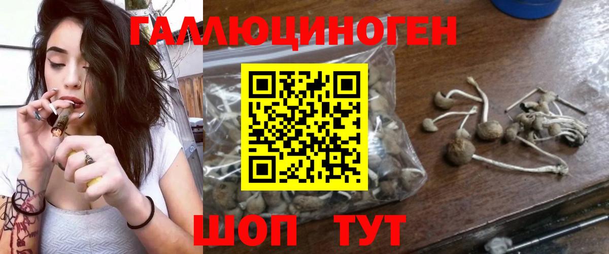 хочу   Псилоцибиновые грибы прущие грибы  Вход с VPN  Воткинск 